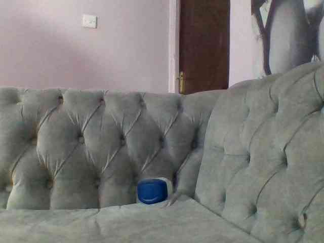 Kittydew webcam