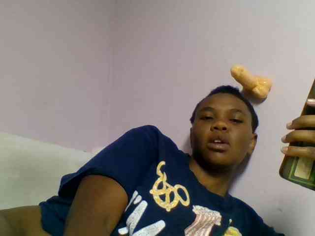 Kittydew webcam