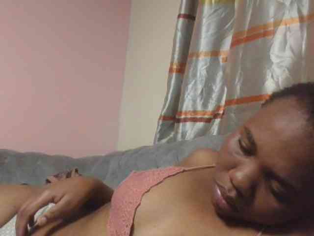 Kittydew webcam