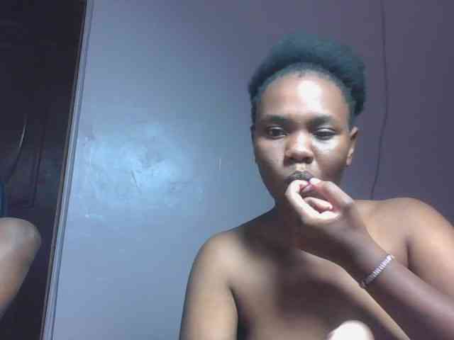 Kittydew webcam