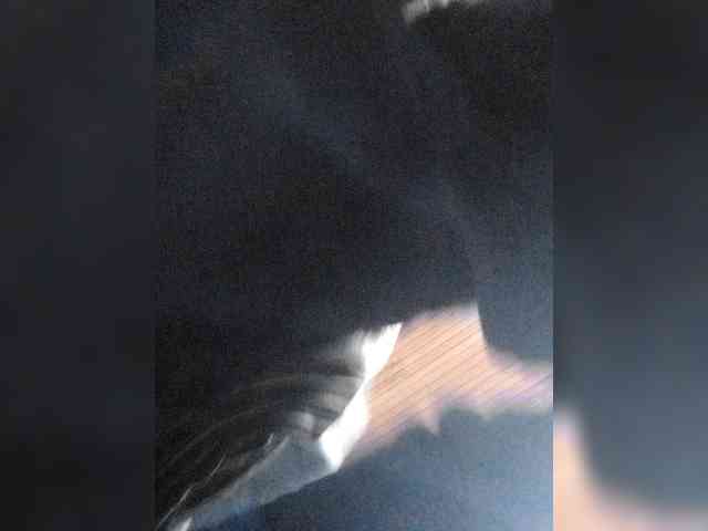 MiaTsoa webcam
