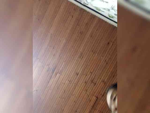MiaTsoa webcam