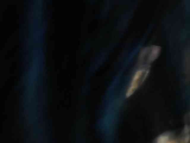 Kalystra webcam