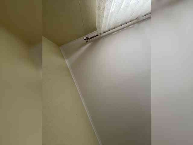 -SsssTERLyyaaDb- webcam