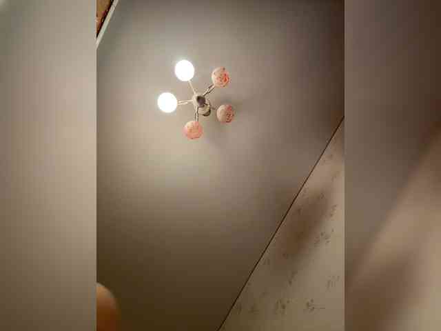 -SsssTERLyyaaDb- webcam