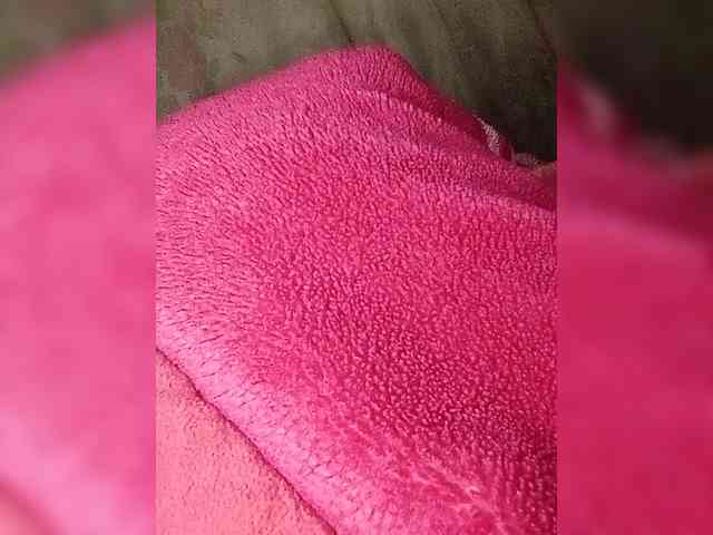 Maris94 webcam