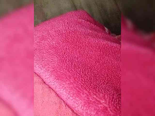 Maris94 webcam