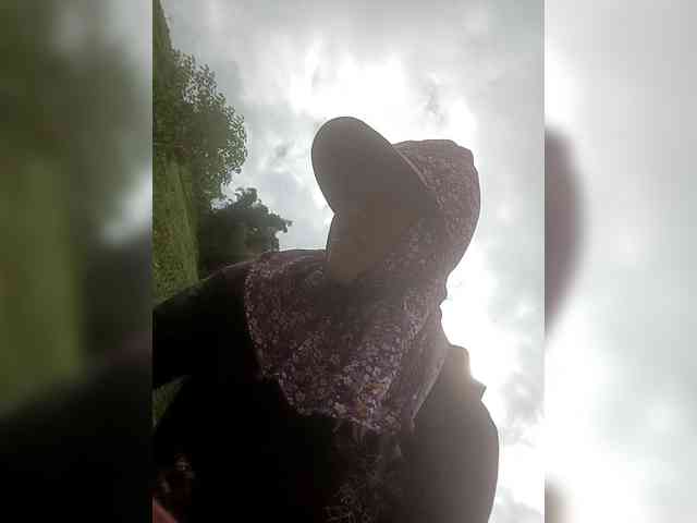 Model: Maris94