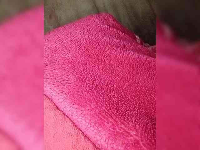 Maris94 webcam