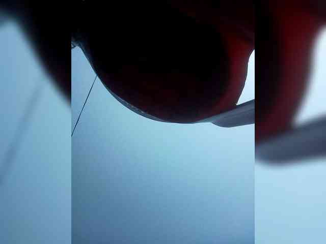 Maris94