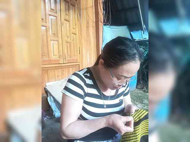 Maris94 webcam