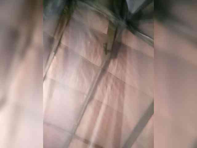 Maris94 webcam