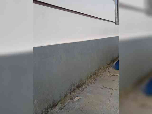 lyna2k webcam