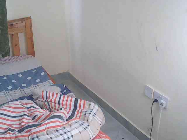 Tuesday- webcam