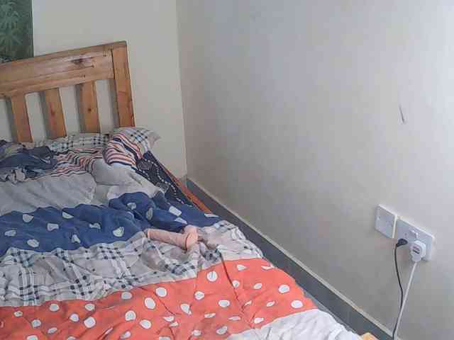 Tuesday- webcam