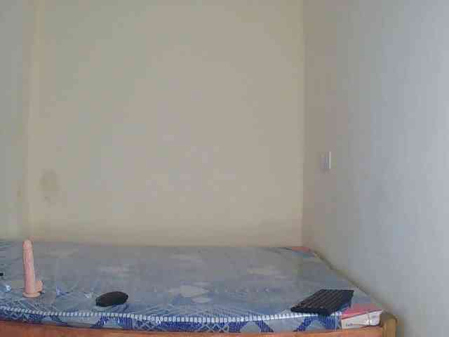 Tuesday- webcam
