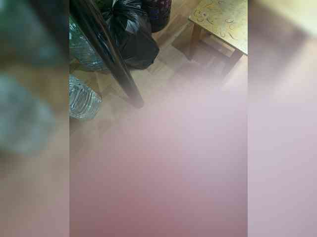 BongoBoginya webcam