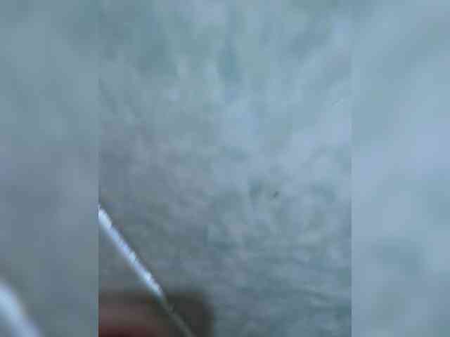BongoBoginya webcam