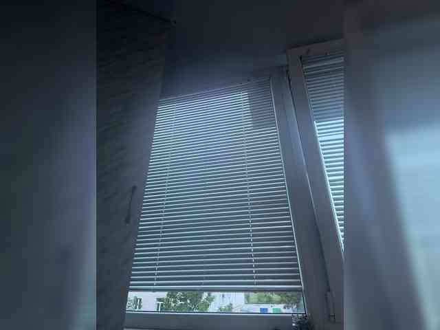 BongoBoginya webcam