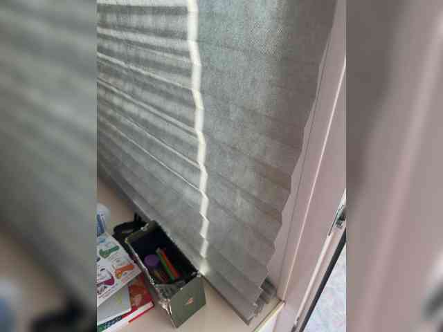 BongoBoginya webcam