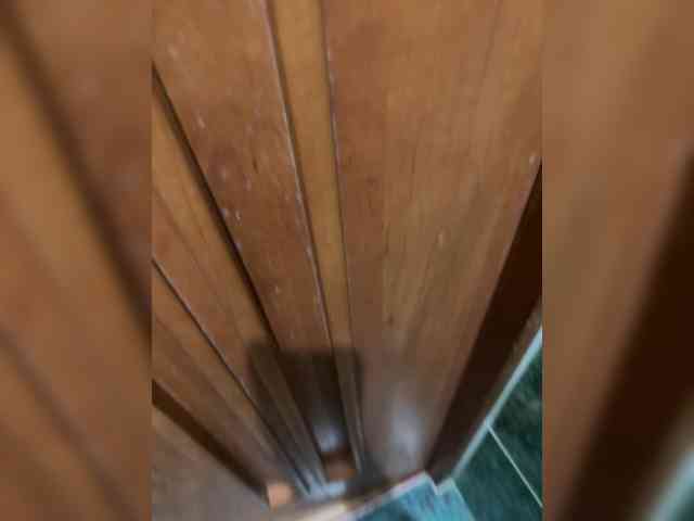 BongoBoginya webcam