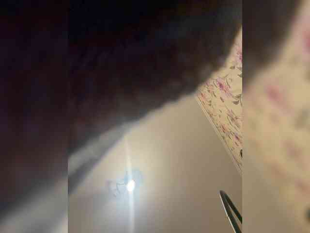 BongoBoginya webcam