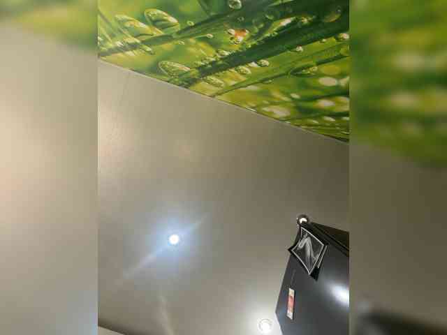 BongoBoginya webcam