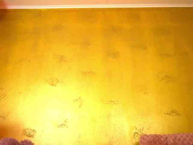 LeylaRush webcam