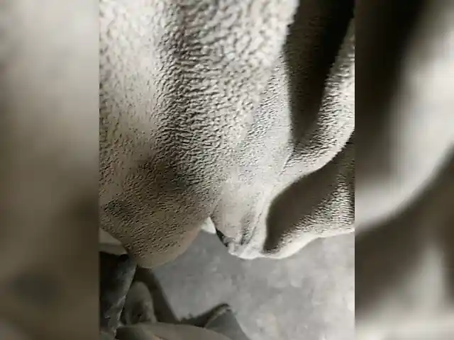 Molokk
