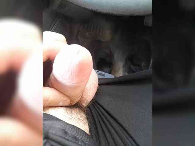DickWanker53