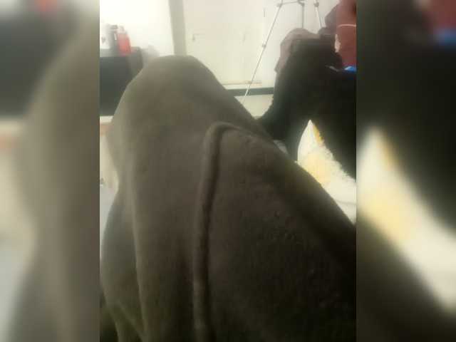 Andreyzer live cam on BongaCams