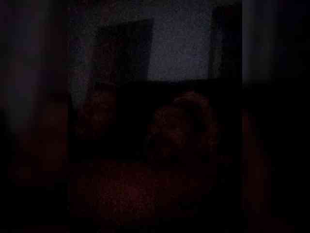 Andreyzer