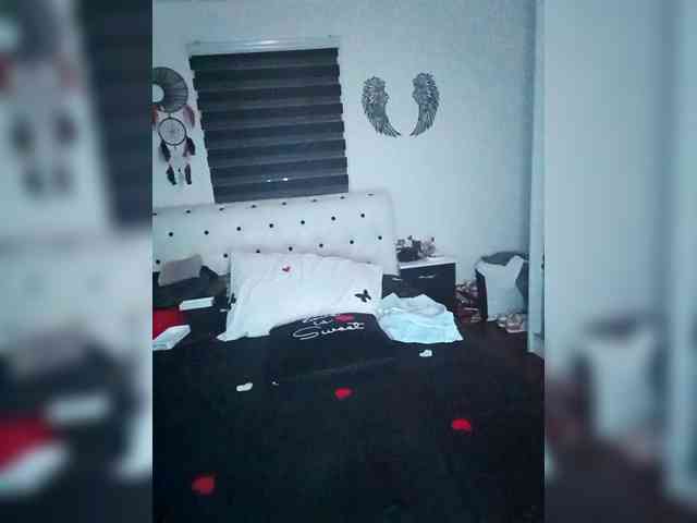 VelvetinkQueen webcam