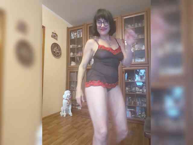 Vlastelina webcam