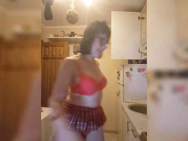 Vlastelina webcam