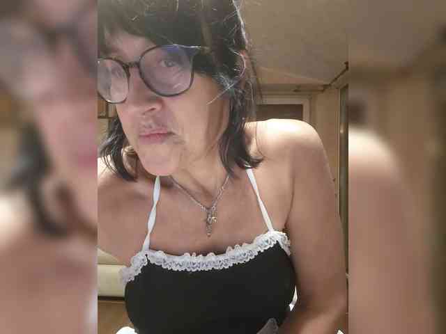 Vlastelina webcam