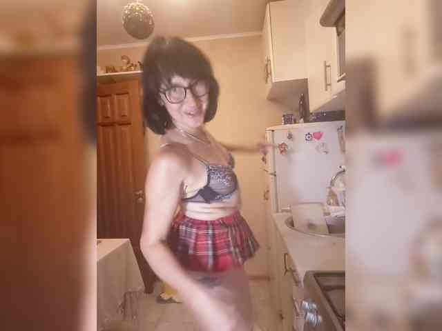 Vlastelina webcam