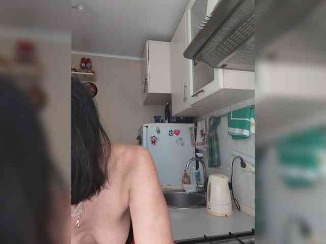 Vlastelina webcam