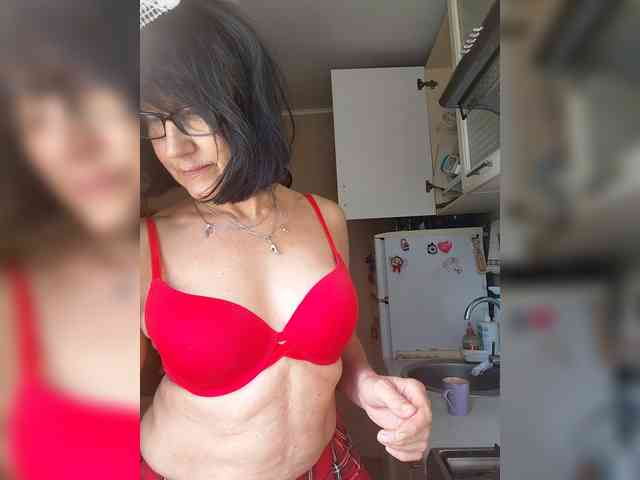 Vlastelina webcam