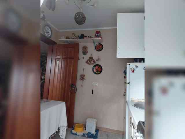 Vlastelina webcam
