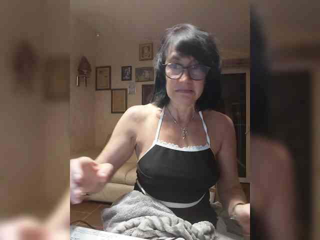 Vlastelina webcam