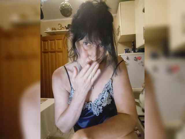 Vlastelina webcam