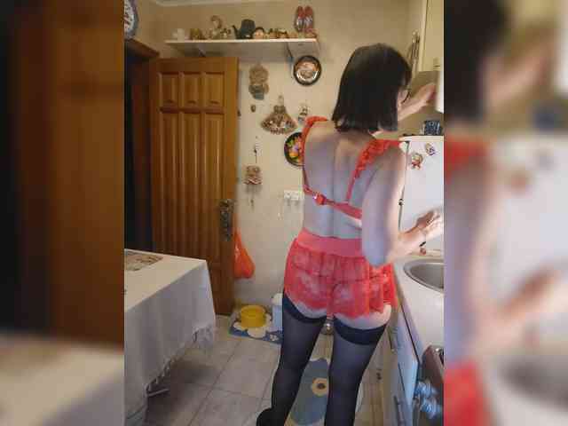 Vlastelina webcam