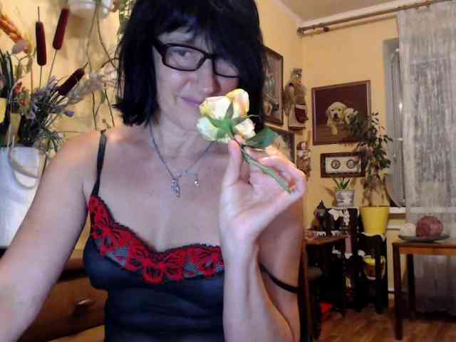 Vlastelina webcam
