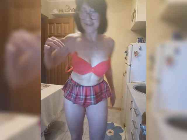 Vlastelina webcam