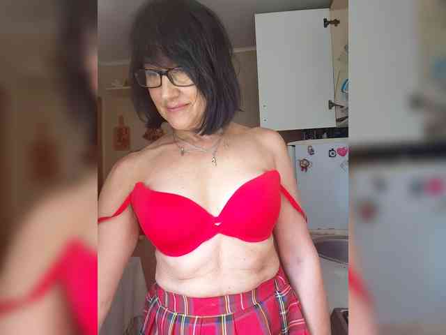 Vlastelina webcam