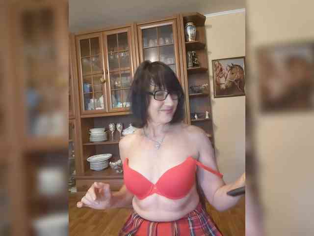 Vlastelina webcam