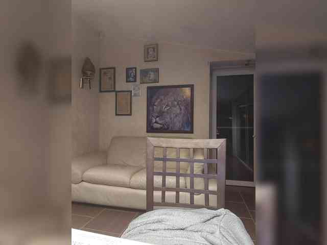 Vlastelina webcam