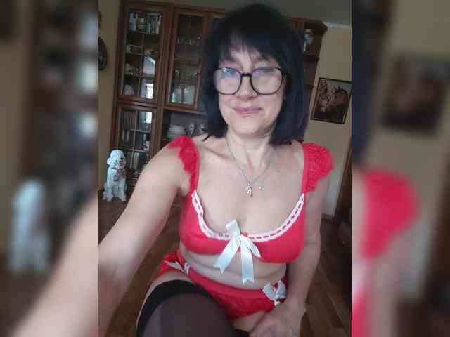 Vlastelina webcam