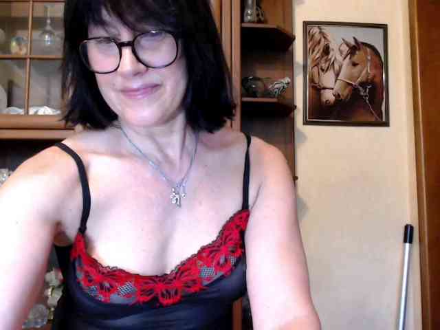 Vlastelina webcam